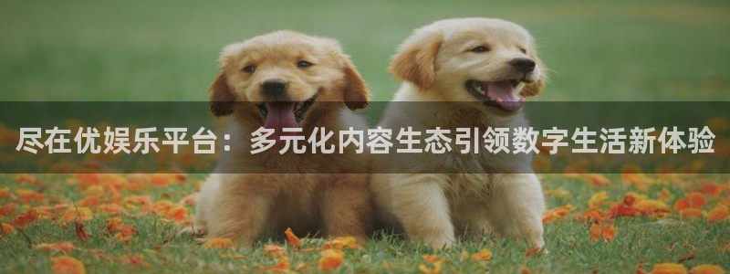 888贵宾会官网：尽在优娱乐平台：多元化内容生态引领数字生活新体验