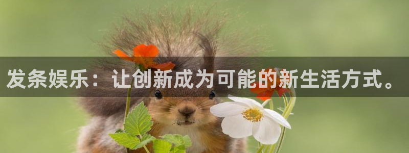 888贵宾会官网：发条娱乐：让创新成为可能的新生活方式。