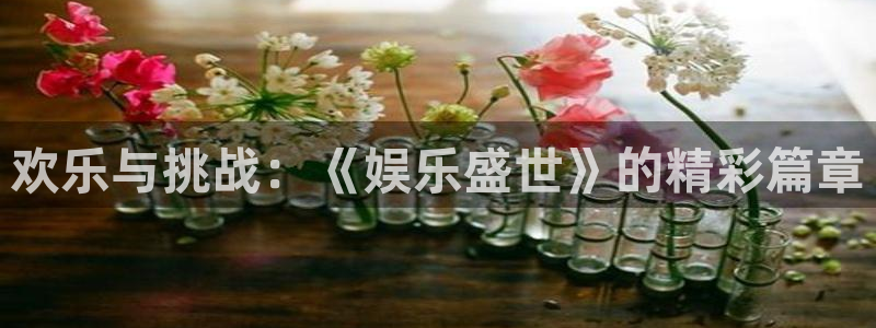 888贵宾会官网：欢乐与挑战：《娱乐盛世》的精彩篇章