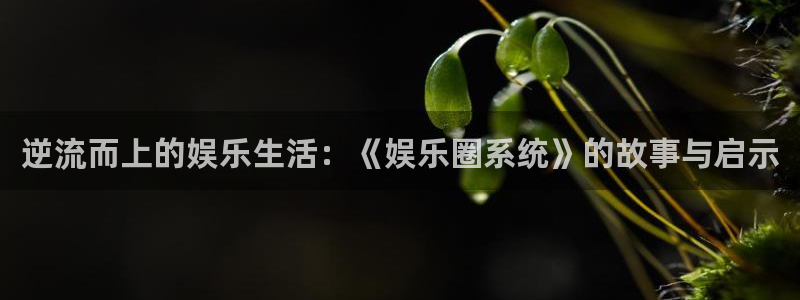 888贵宾会官网：逆流而上的娱乐生活：《娱乐圈系统》的故事与启示