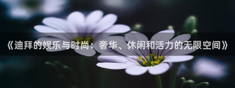 888贵宾会官网：《迪拜的娱乐与时尚：奢华、休闲和活力的无限空间》