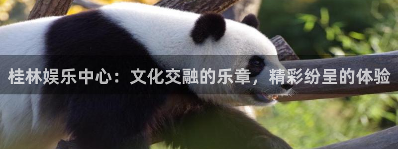 888贵宾会官网：桂林娱乐中心：文化交融的乐章，精彩纷呈的体验